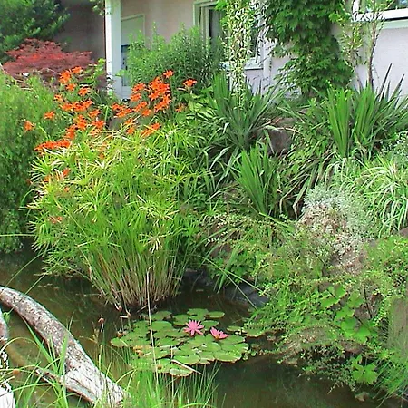 Steinhof-littmann Apartament *